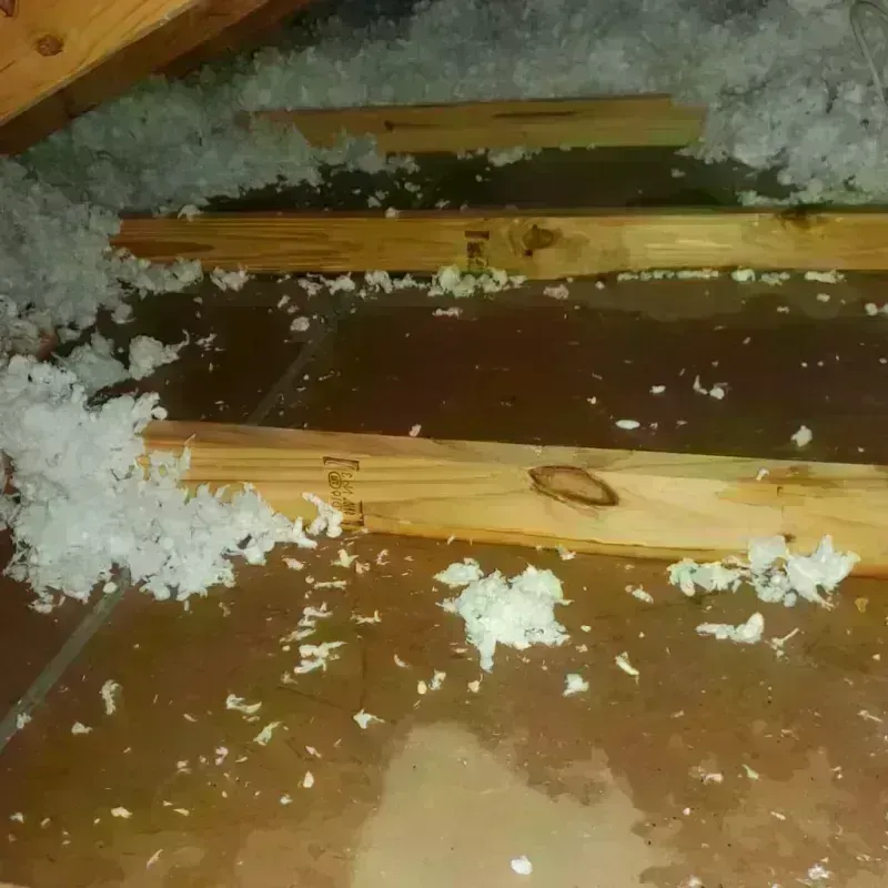 Attic Water Damage in Lumberton, TX