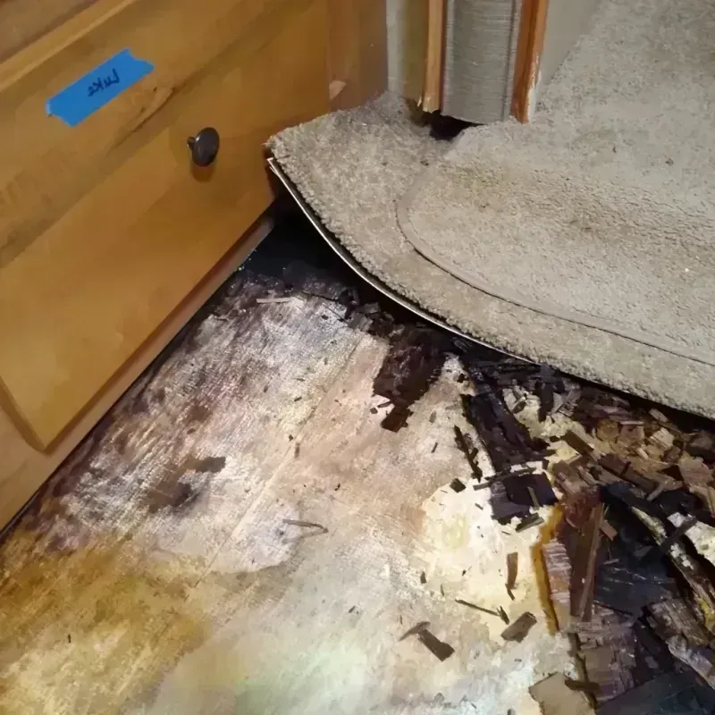 Wood Floor Water Damage in Lumberton, TX